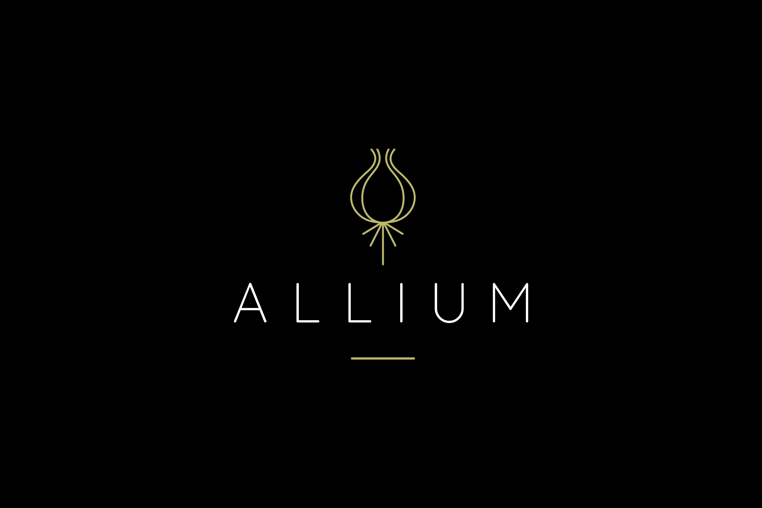 allium-logo